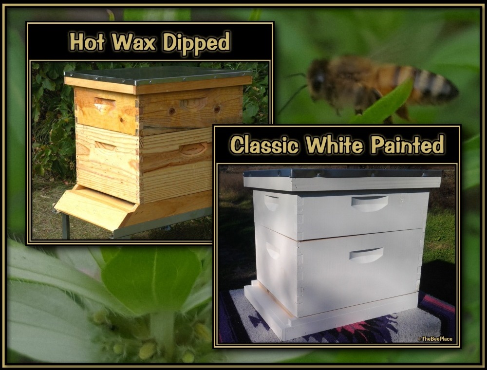 Apiary Starter Kits Image 2