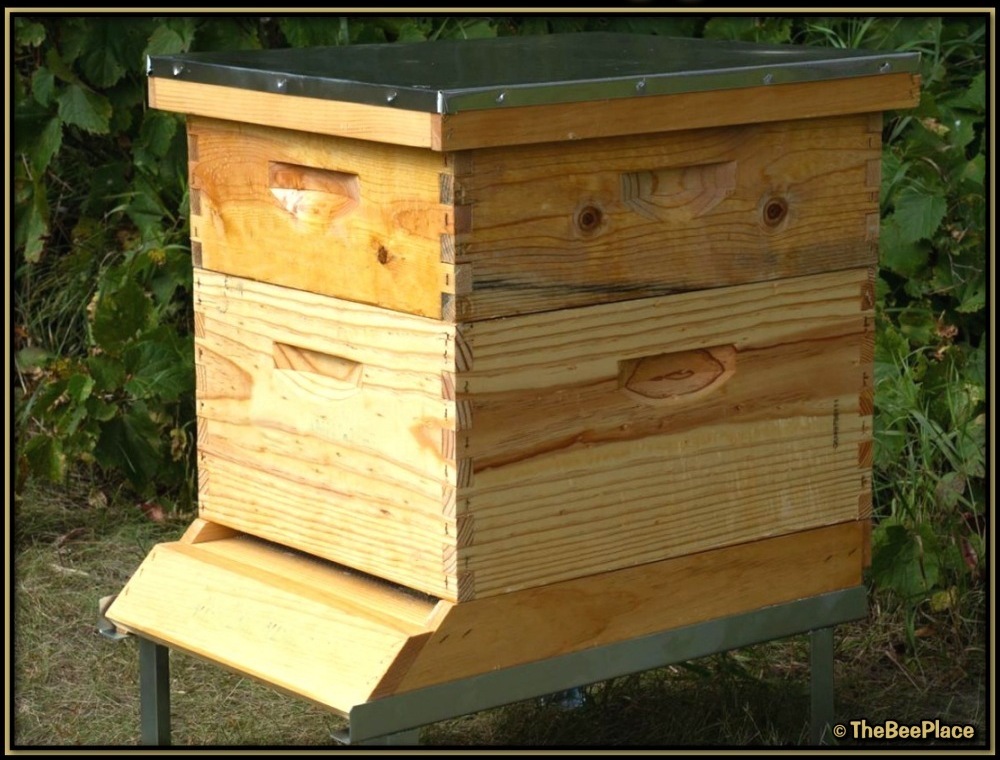 Apiary Starter Kits Image 3