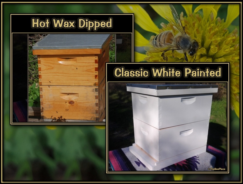 Double Deep Hives Image 1
