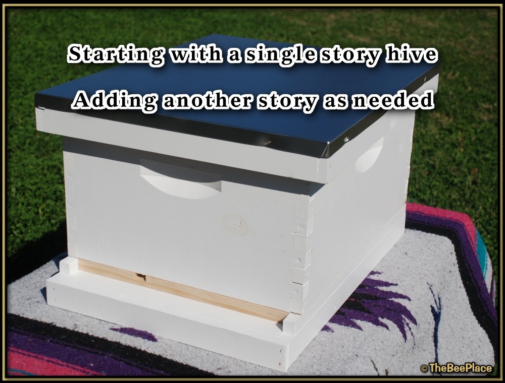 Honey Super Deluxe Image 6