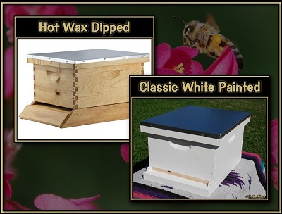 Single Deep Hives Hero Image