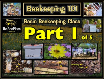 Basic Class Videos