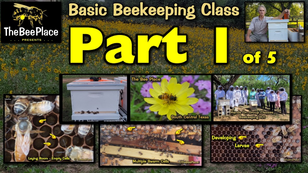 Basic Beekeeping 101 video lessons