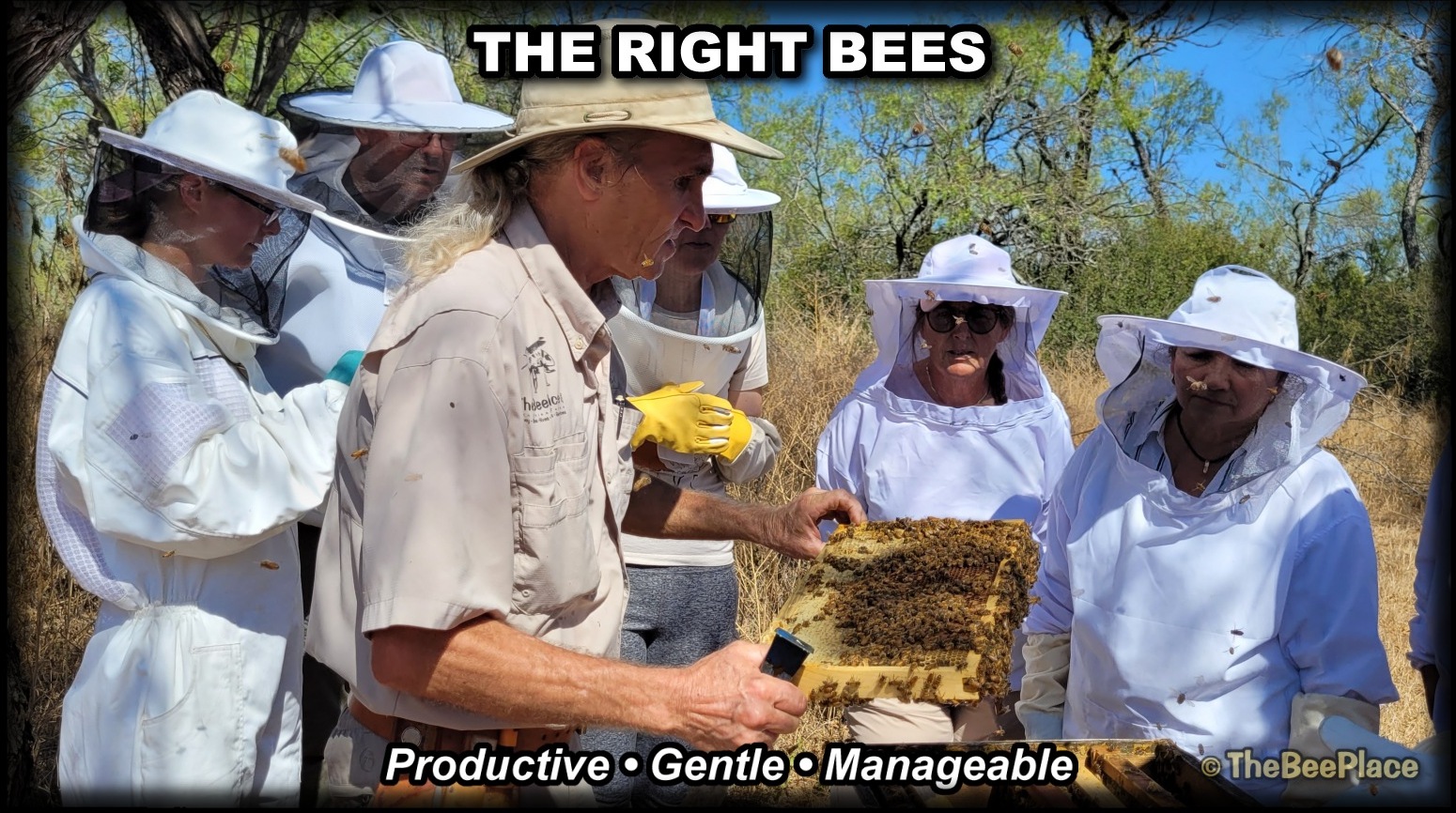 The Right Bees — productive, gentle, manageable honey bees