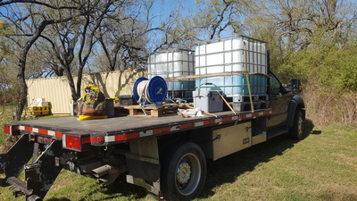 Bees Working Image 2