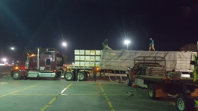 Bees Working Image 20