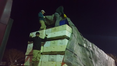 Bees Working Image 23