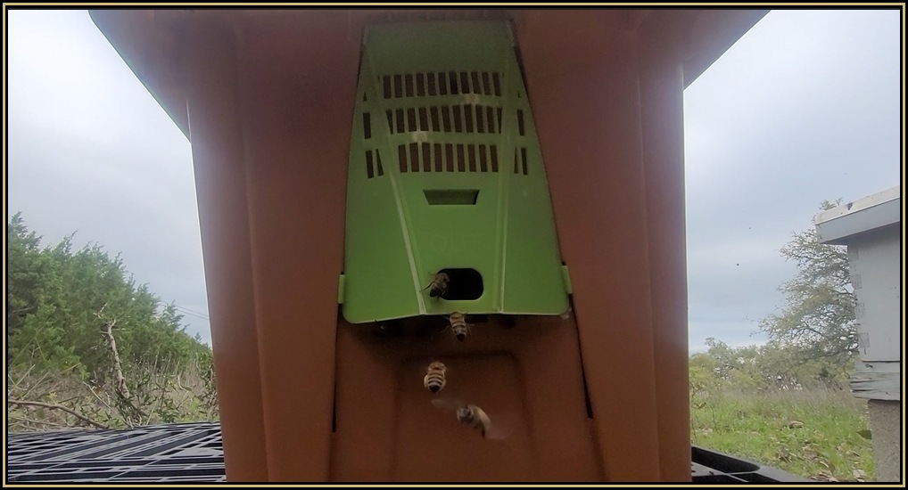 After You Get Home 01