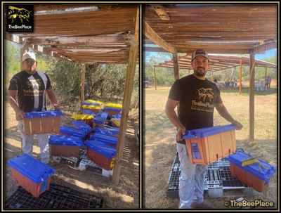 before-you-arrive 05