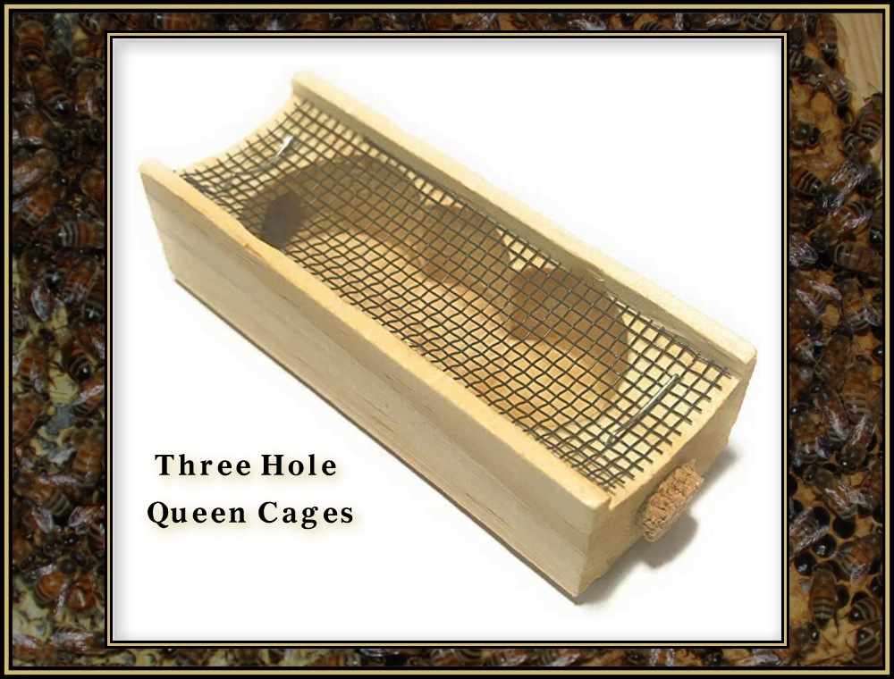 Installing Queens 05