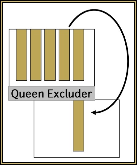 Diagram showing frames being moved through a queen excluder to isolate the queen below.