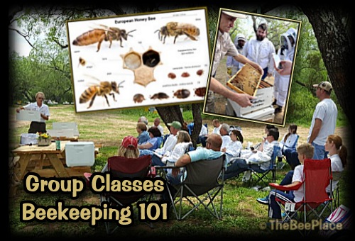 Equipement apiculture - Farmili