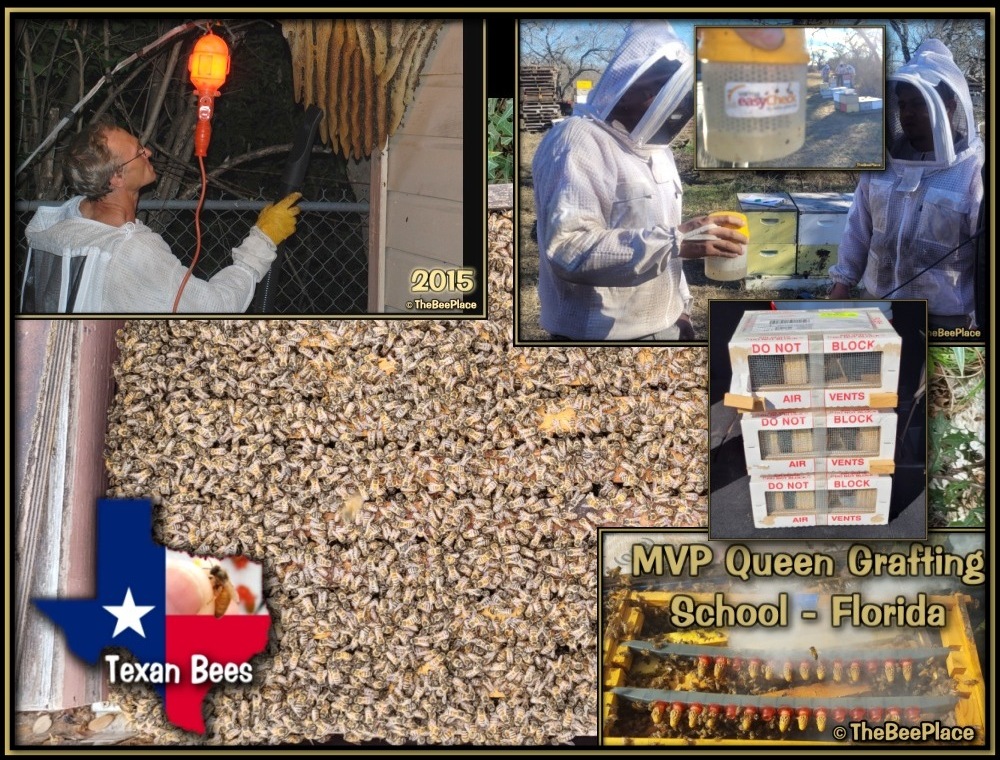 Breeding For Resistance 01