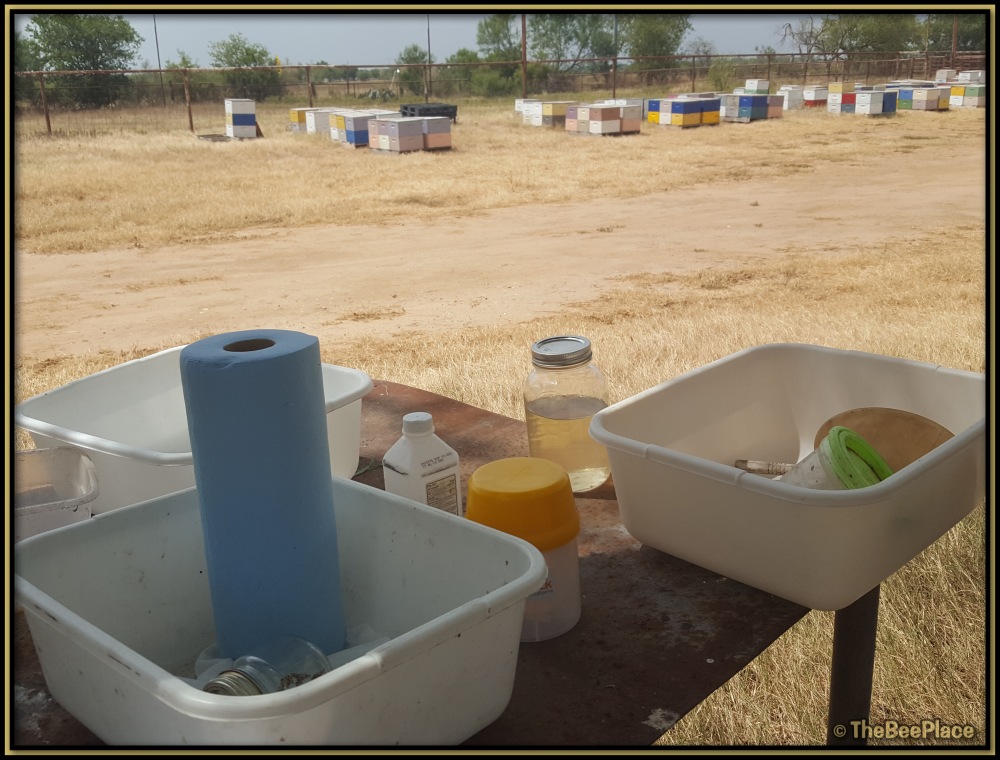 Breeding For Resistance 04