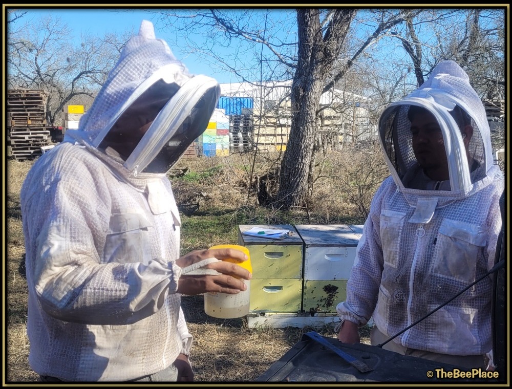 Checking For Mites 02