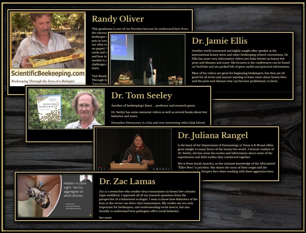 Additional Resources 01