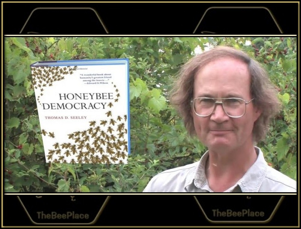 Additional Resources 04