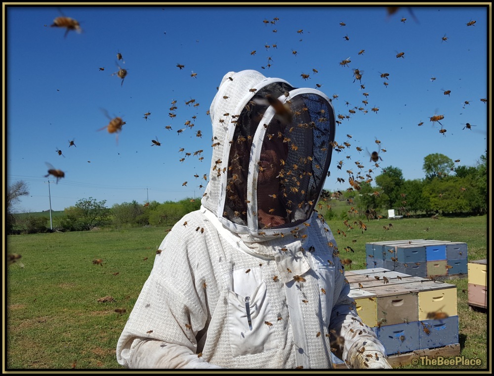 Beekeeper Safety
