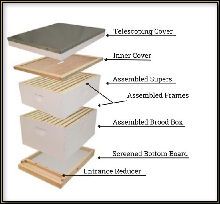 Exploded view of Langstroth hive components showing modular stacked system