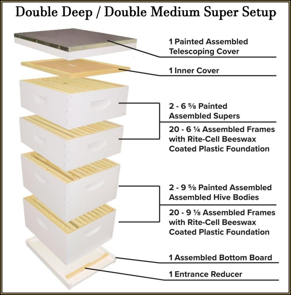 Stacked double deep and double medium hive configuration showing expanded honey storage above brood boxes