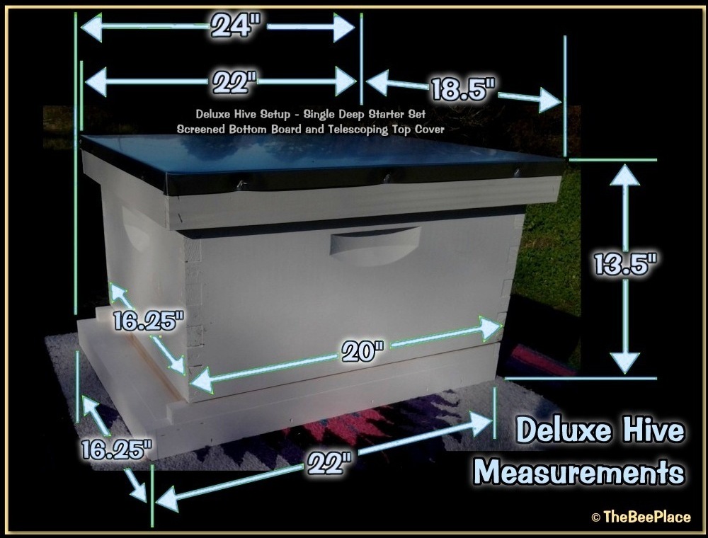 Langstroth hive with measurement overlay showing width depth and height dimensions