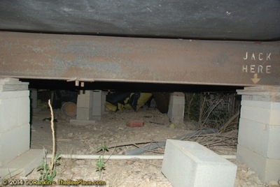 About Africanized Bees