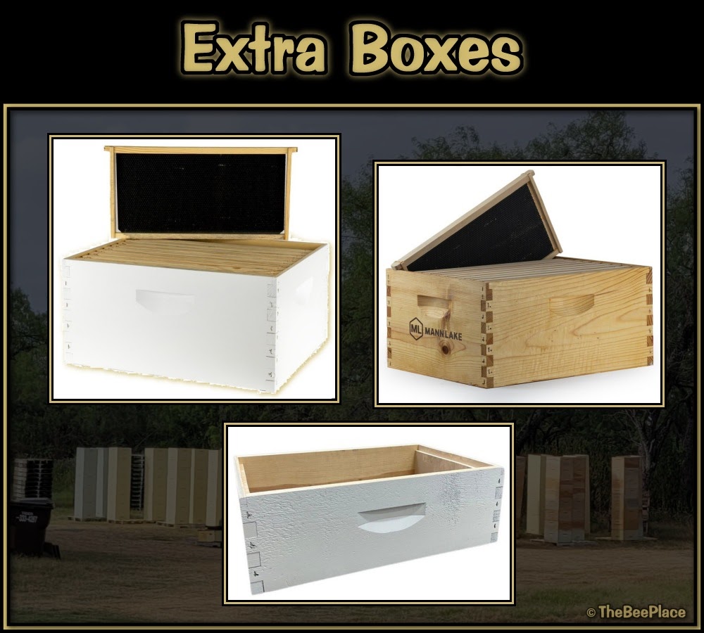 Hive Boxes